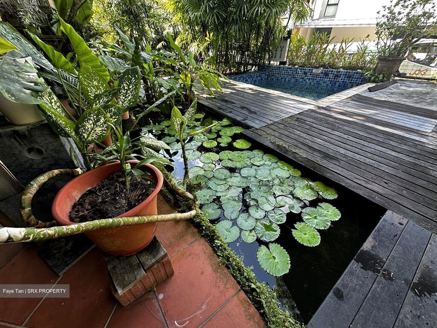 Ming Park (D20), Semi-Detached #560418851